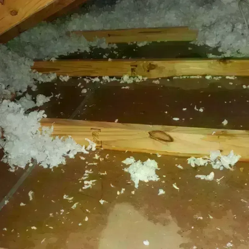 Attic Water Damage in Albany Park, IL