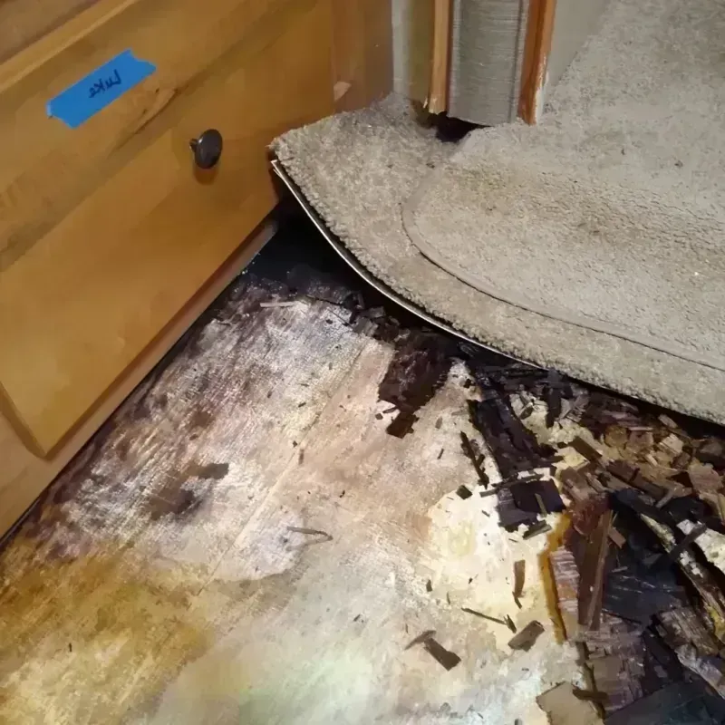 Wood Floor Water Damage in Albany Park, IL